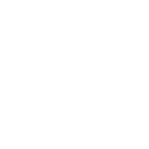 TOP BRANDS
